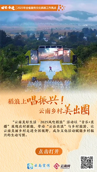 【回望·奋进】稻浪上唱振兴！云南乡村美出圈